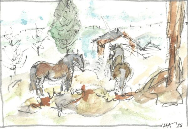 Snow Horses